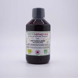 N°4 – Métabolisme