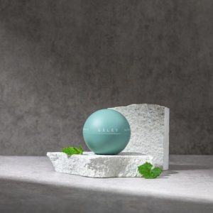 GSLEY NUTRITION BOMB PACK