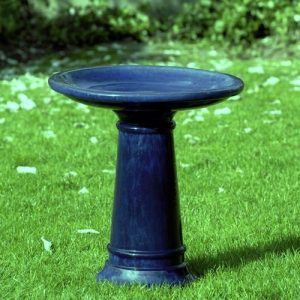 Bain d&rsquo;oiseaux