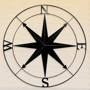 Rose des vents noire