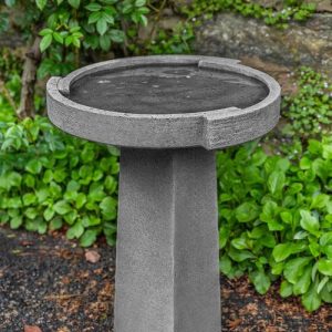 Bain d&rsquo;oiseau Concept