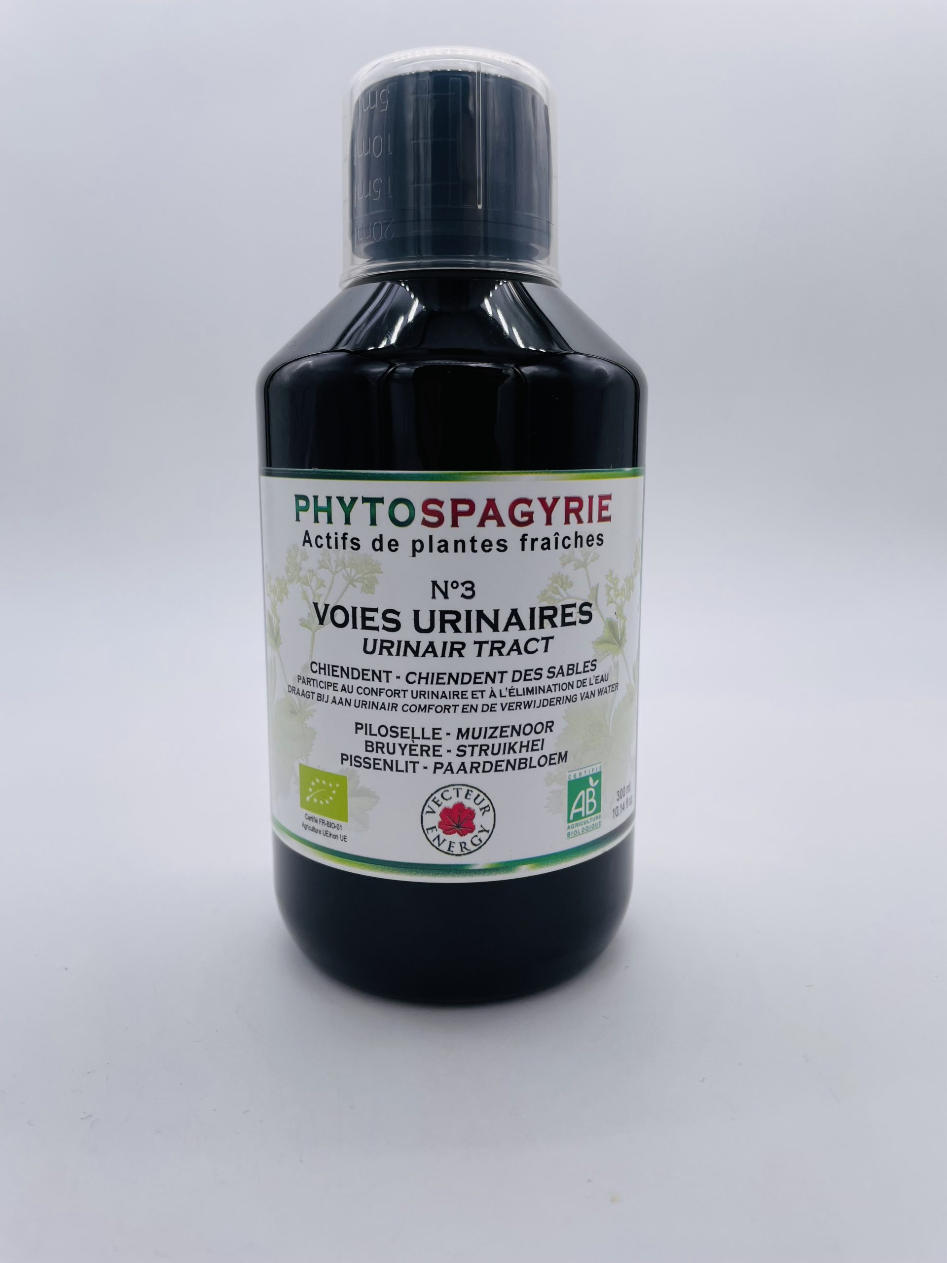 N°3 Voies urinaires