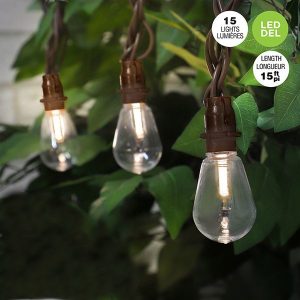Lumière DEL ampoule Edison