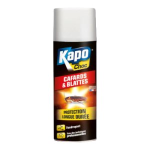 Kapo Foudroyant Cafards et Blattes
