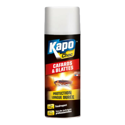 Kapo Foudroyant Cafards et Blattes