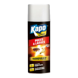 Kapo Choc Puces et Larves