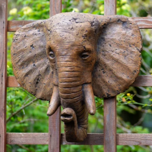 Tête d&rsquo;éléphant mural