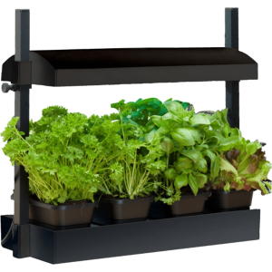 Mini jardin d&rsquo;intérieur avec lumière DEL – noir