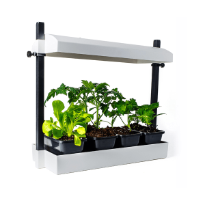 Mini jardin d&rsquo;intérieur avec lumière DEL – blanc