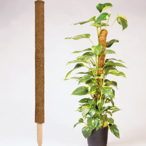 Tuteur de croissance